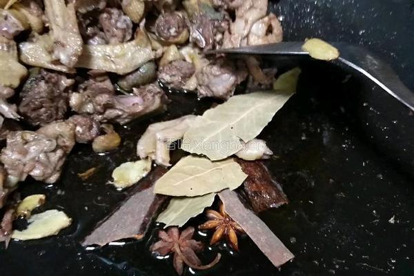 湘江煨野鸭的做法图解4