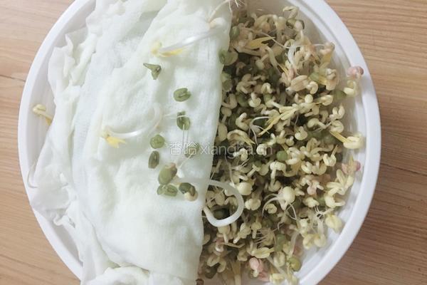 豆芽～抖芽～～～的做法图解6