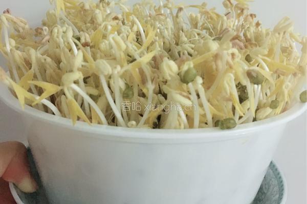 豆芽～抖芽～～～的做法图解7