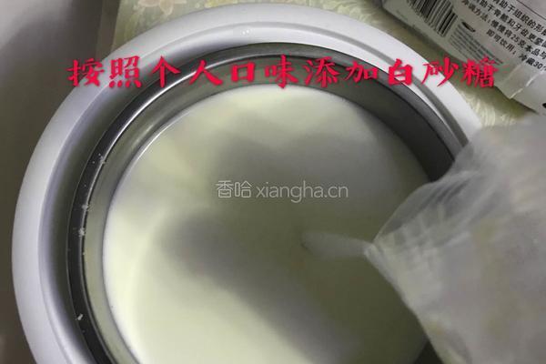 奶粉自制酸奶的做法图解6