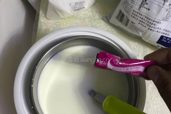 奶粉自制酸奶的做法图解7