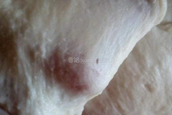 椰蓉排包(中种)的做法图解4
