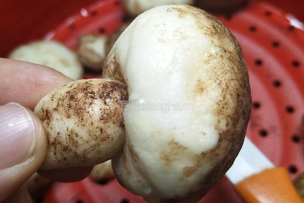 脏脏土豆馒头和香菇蘑菇馒头的做法图解14