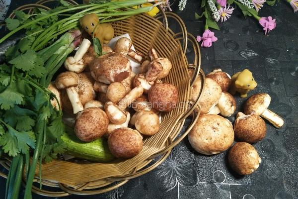 脏脏土豆馒头和香菇蘑菇馒头的做法图解16
