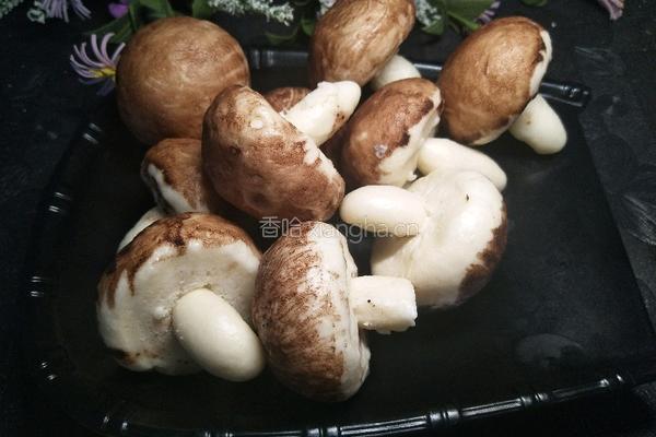 脏脏土豆馒头和香菇蘑菇馒头的做法图解19
