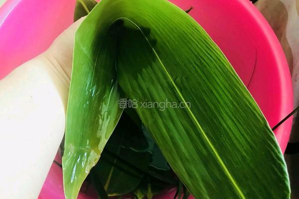 香菇叉烧粽的做法图解5