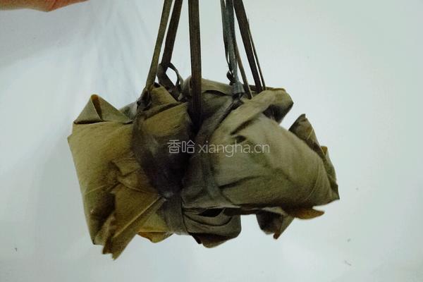 香菇叉烧粽的做法图解20
