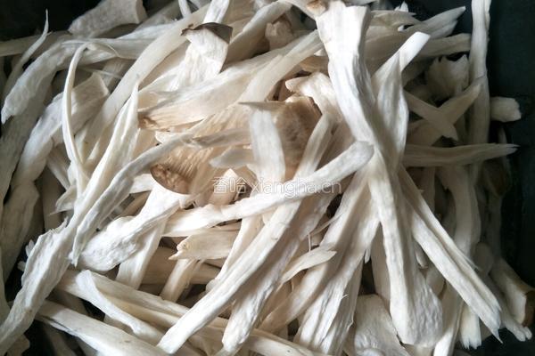 油炸杏鲍菇的做法图解1