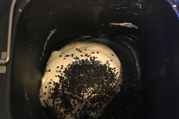 法国黑芝麻球的做法图解4