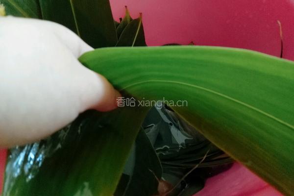五花肉花生粽的做法图解6