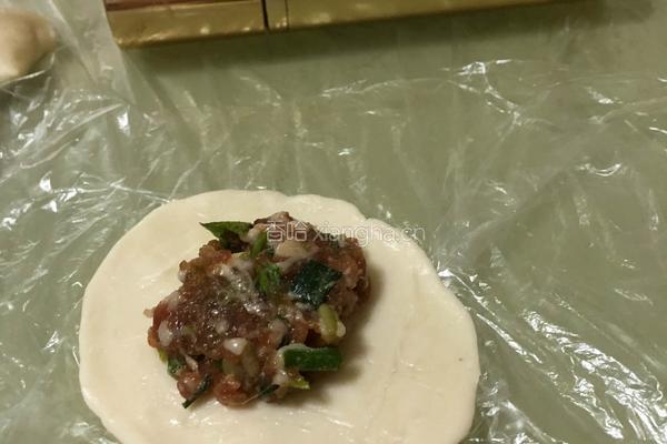 简易版鲜肉馅饼的做法图解12