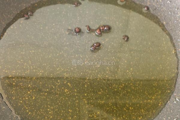 排骨肉炒蒜薹的做法图解5