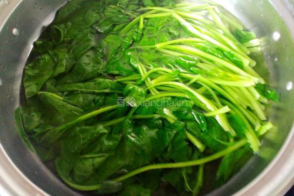麻酱拌菠菜的做法图解3