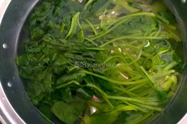 麻酱拌菠菜的做法图解4