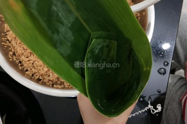 美味的鲜肉粽的做法图解6