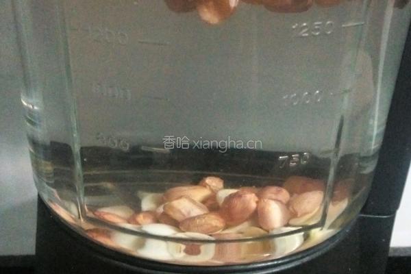 花生莲子糊的做法图解3