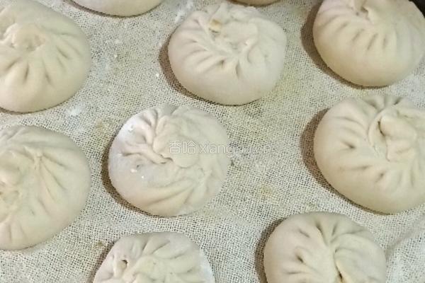 猪肉大葱包子的做法图解21