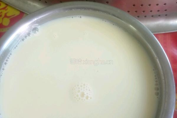 营养豆浆的做法图解3