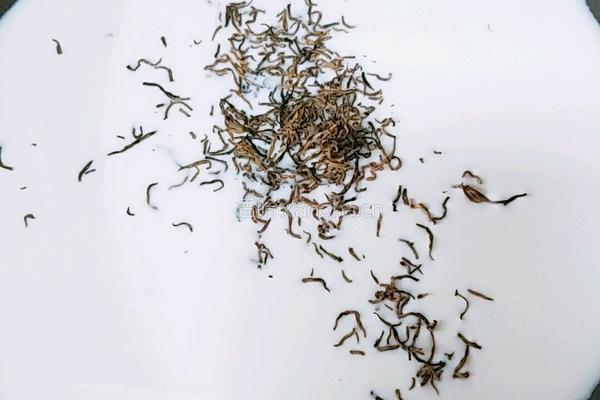 珍珠奶茶的做法图解7