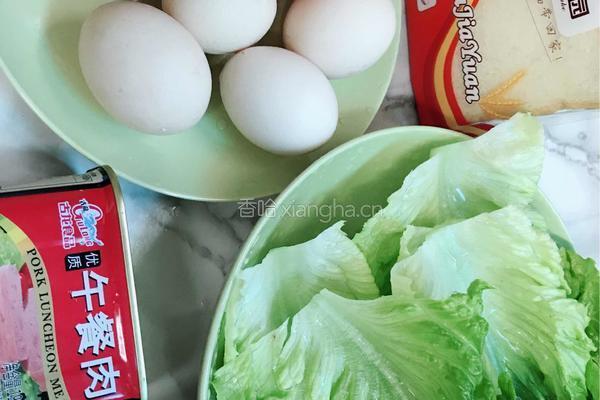 三明治?的做法图解1