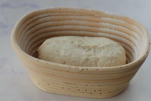 免揉乡村欧包的做法图解12