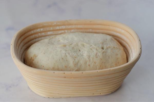 免揉乡村欧包的做法图解15
