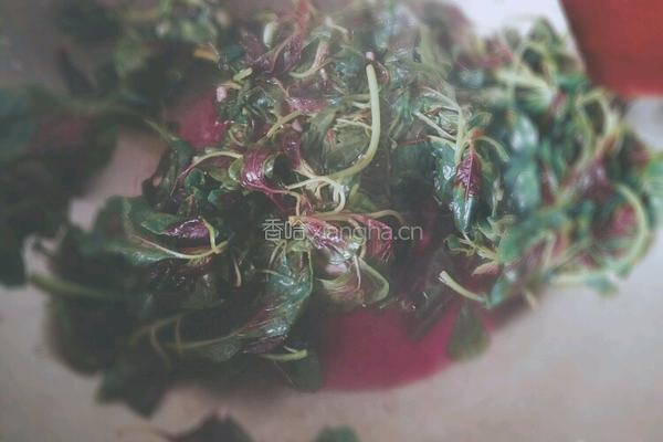 蒜香红苋菜的做法图解4
