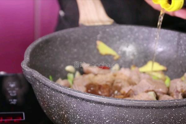 西红柿牛腩的做法图解6