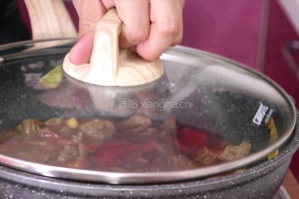 西红柿牛腩的做法图解7