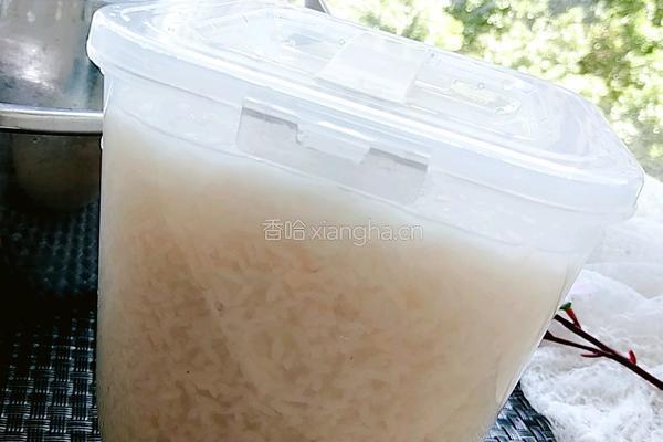 自制酒酿的做法图解18