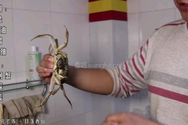 清蒸大闸蟹的做法图解1