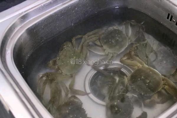 清蒸大闸蟹的做法图解2