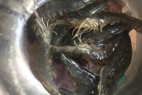 白灼虾的花式摆盘（附味碟做法）的做法图解3