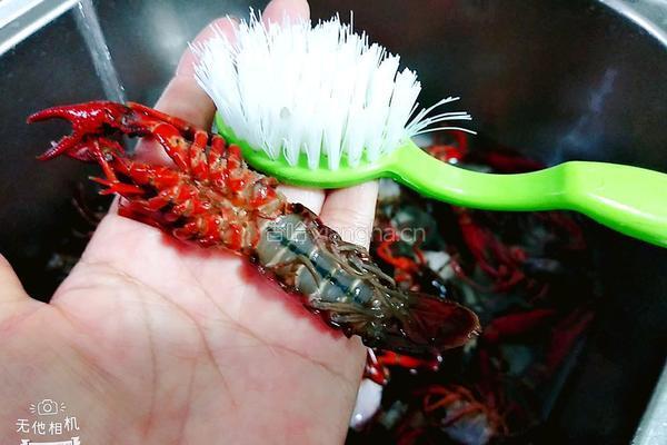 香辣龙虾的做法图解10
