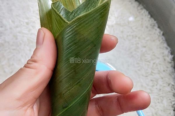 蜜枣粽的做法图解5