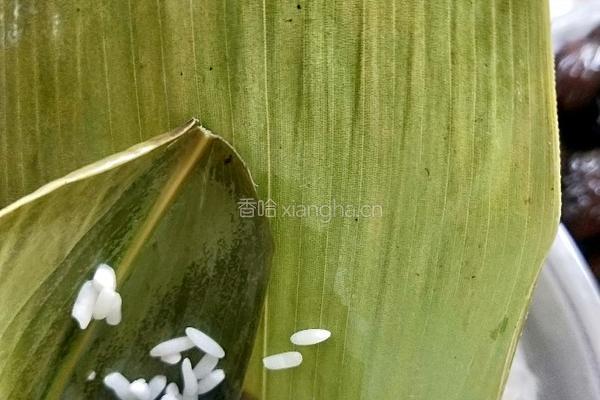 蜜枣粽的做法图解6