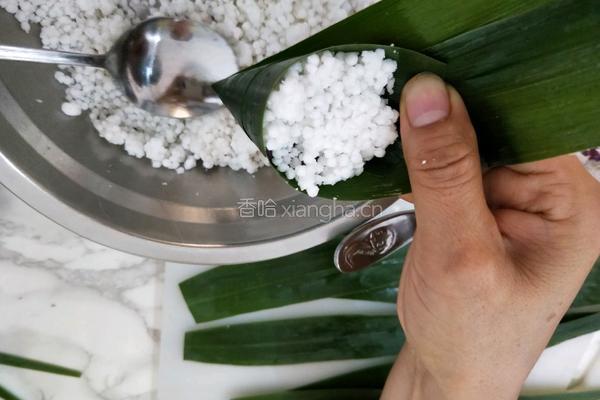 水晶粽子的做法图解5