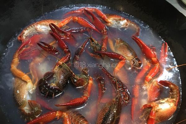 小龙虾的做法图解2