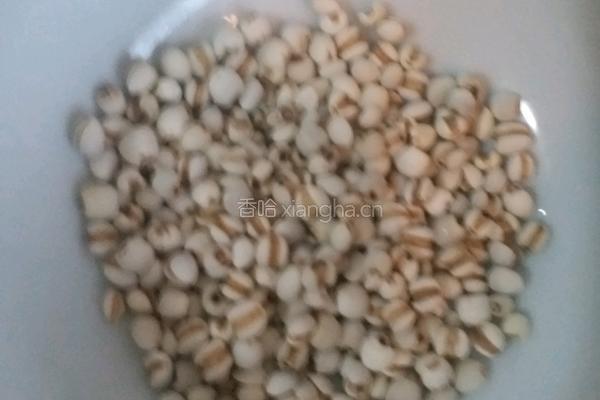 祛湿靓鸡汤的做法图解5