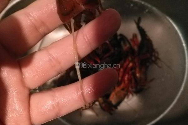 蒜香小龙虾的做法图解2