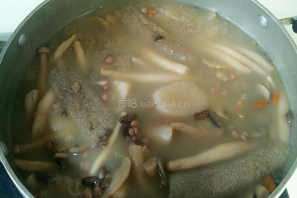 竹荪双菇红豆薏米除湿汤的做法图解17