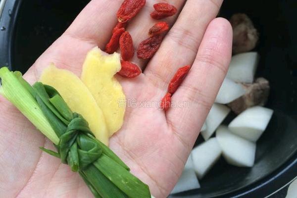 萝卜炖排骨的做法图解7