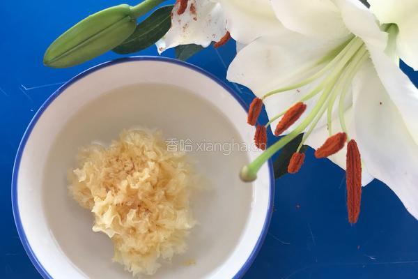 银耳红枣桃胶羹的做法图解3