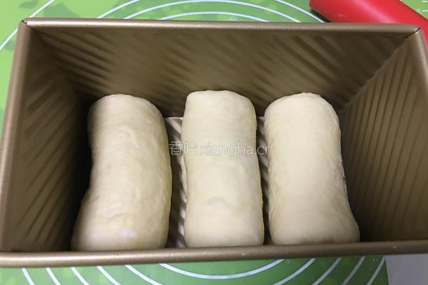 基础面包+咸味吐司的做法图解16