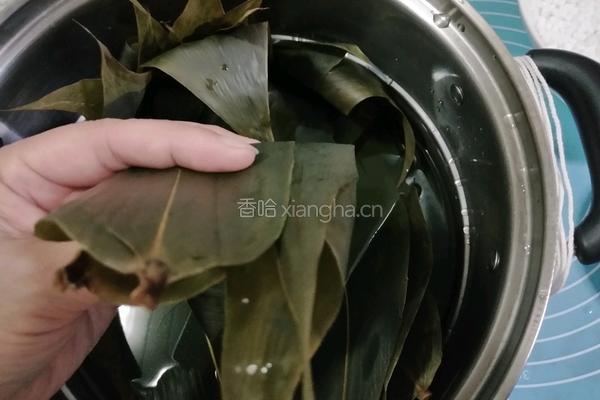 西米粽的做法图解10