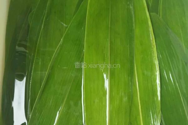 传统四角粽的做法图解1