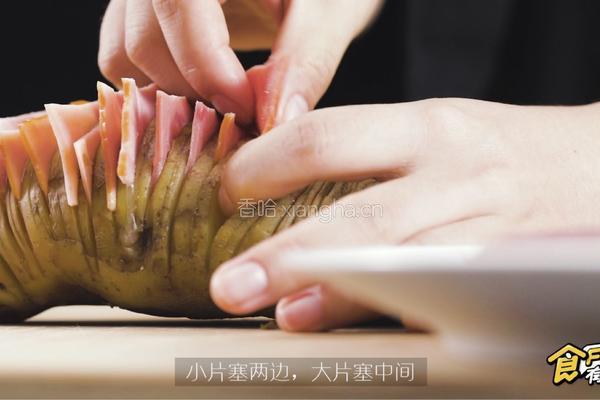 芝士烤风琴土豆的做法图解4