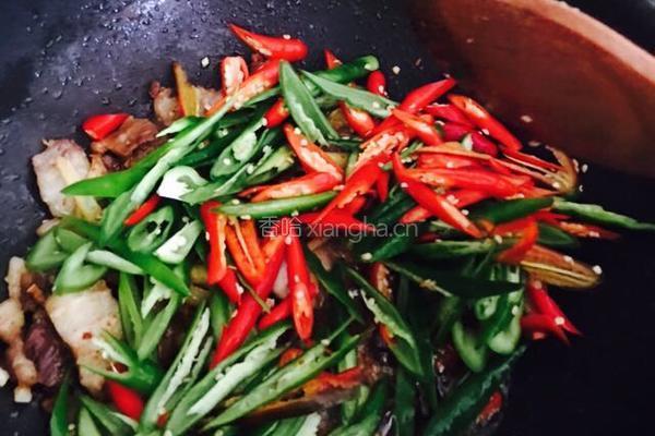 家常板小炒肉的做法图解6