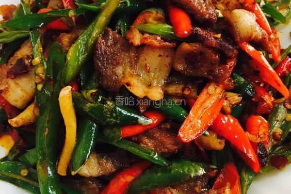 家常板小炒肉的做法图解7