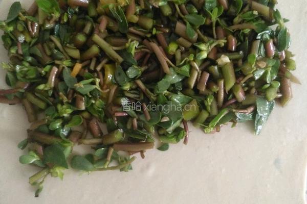 香辣苋菜饼的做法图解4